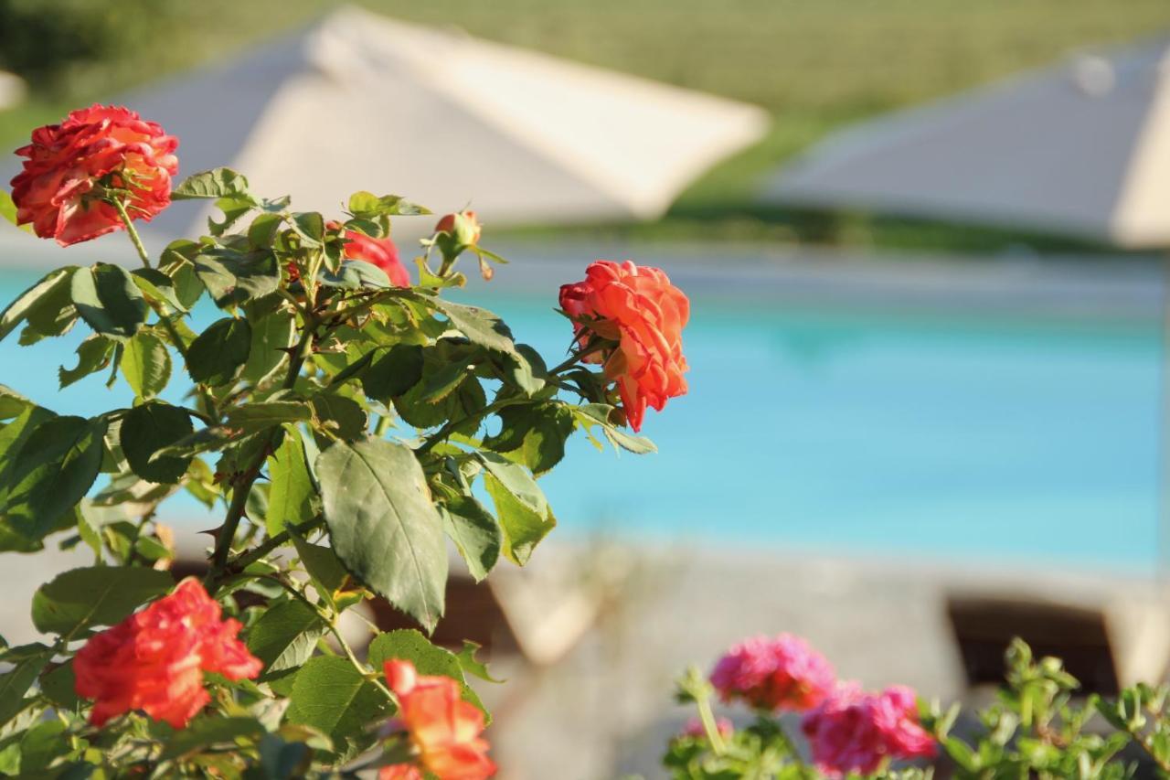Villa La Mura - Luxury Pool By The Vineyard Костильоле-д'Астри Экстерьер фото